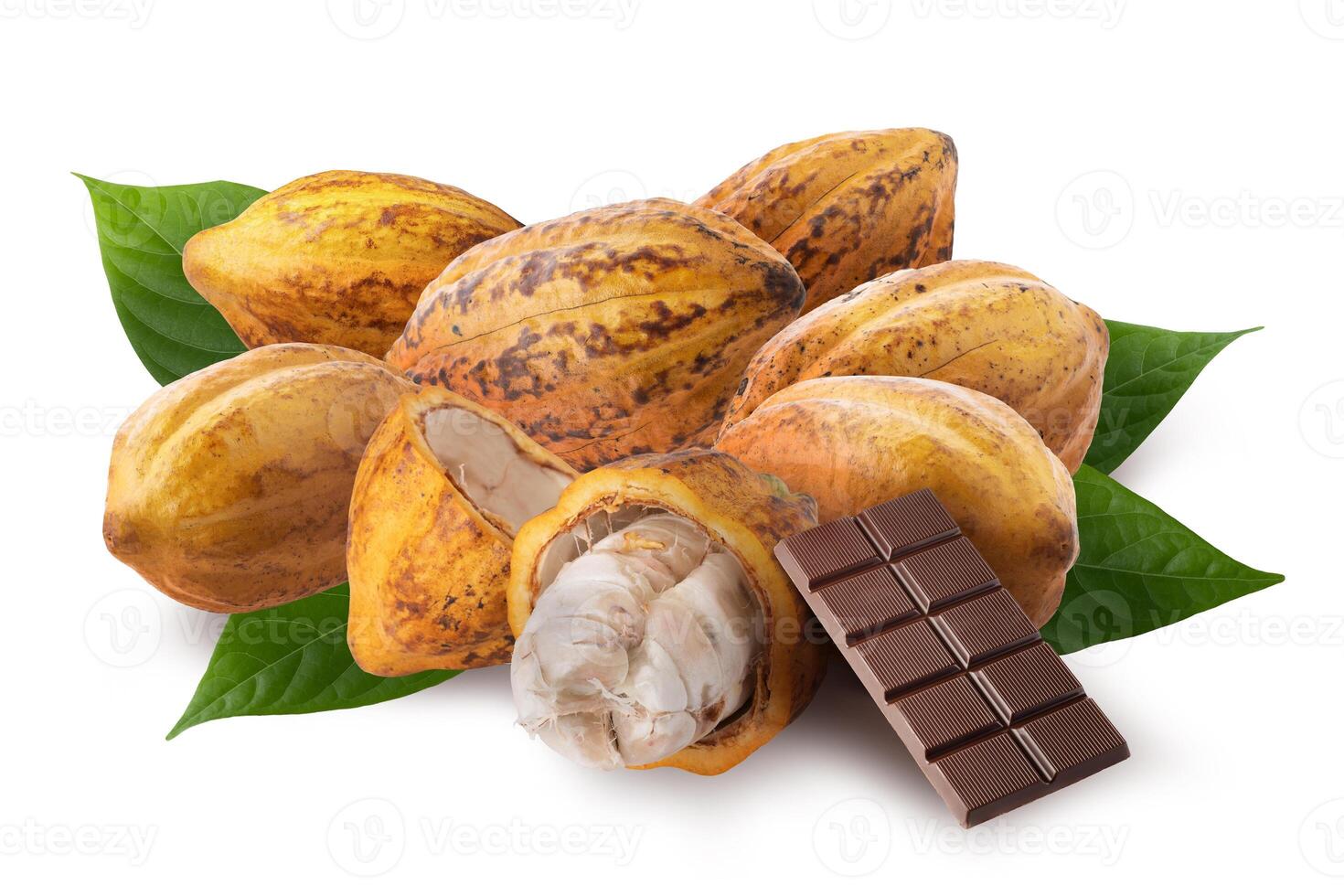 Yellow and halved ripe cocoa fruits are used to make chocolate isolated on a white background photo