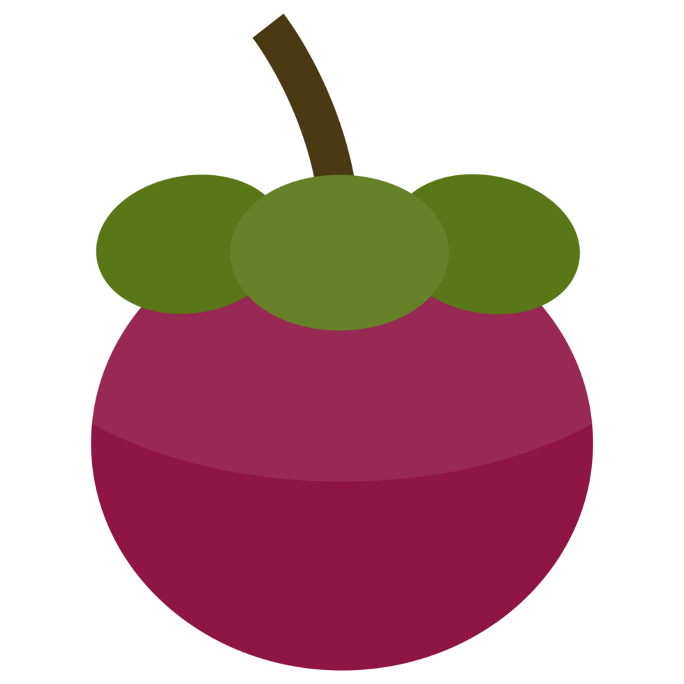 Mangosteen fruits icons png