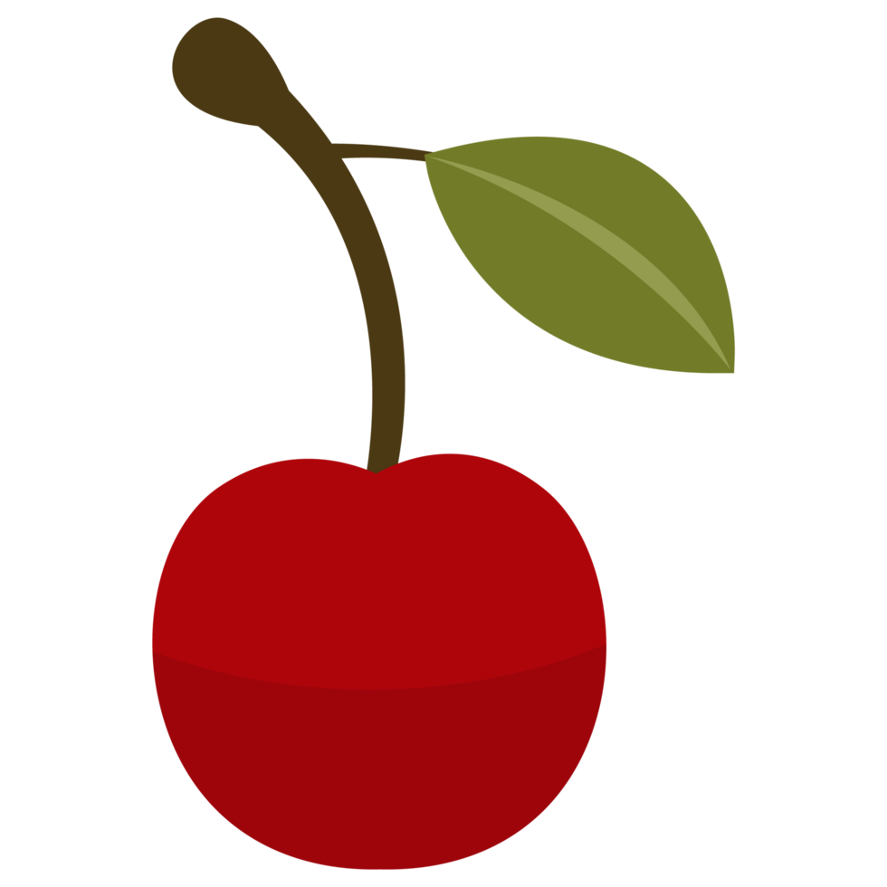 Cherry on a branch fruits icons png
