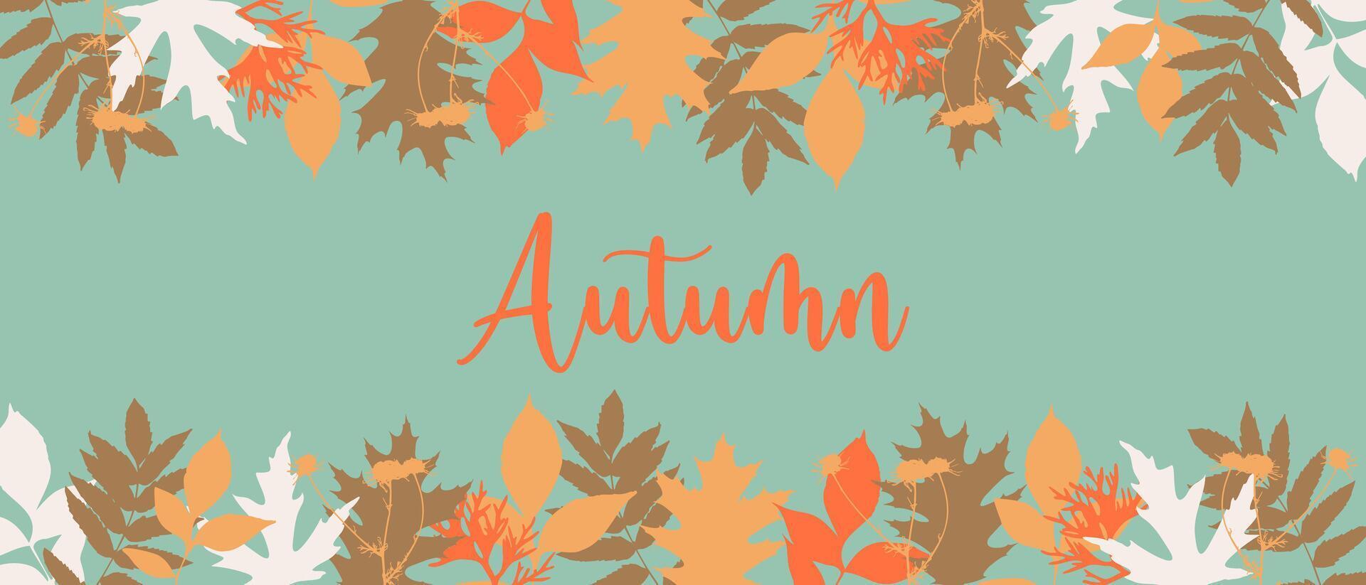 Autumn horizontal banner with leaves and camomile silhouette on pastel green background. vector