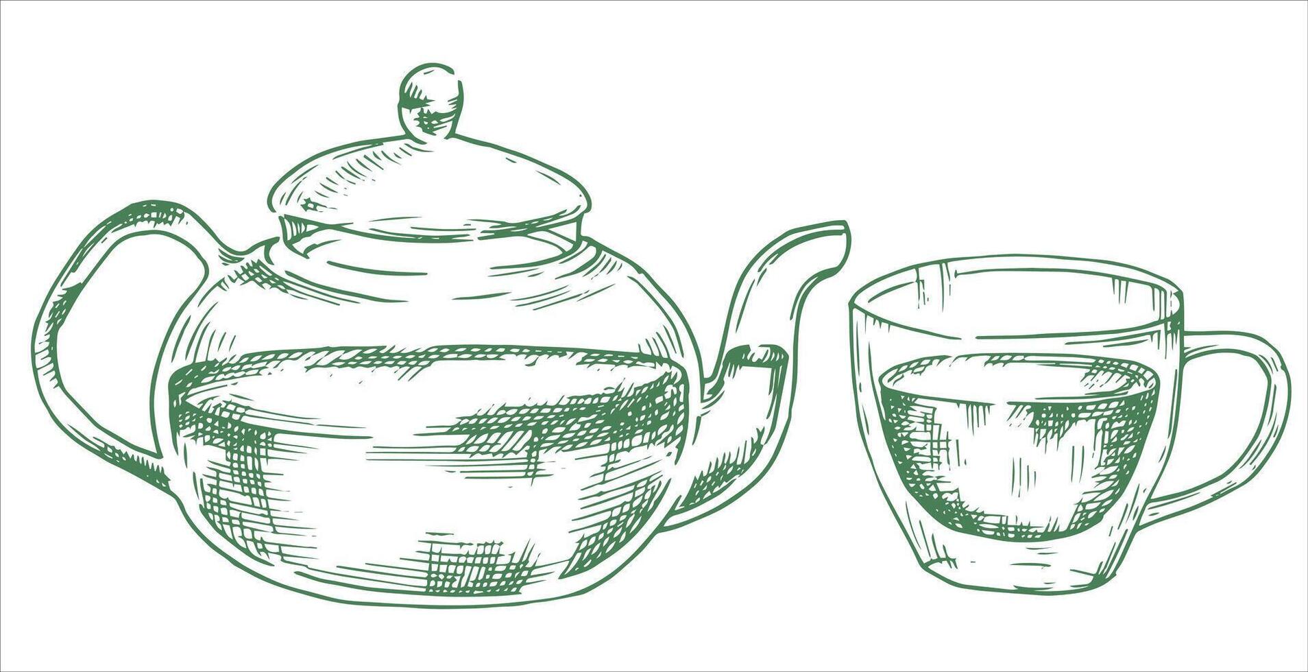 teapot and cup of green tea. illustration in sketch style vector