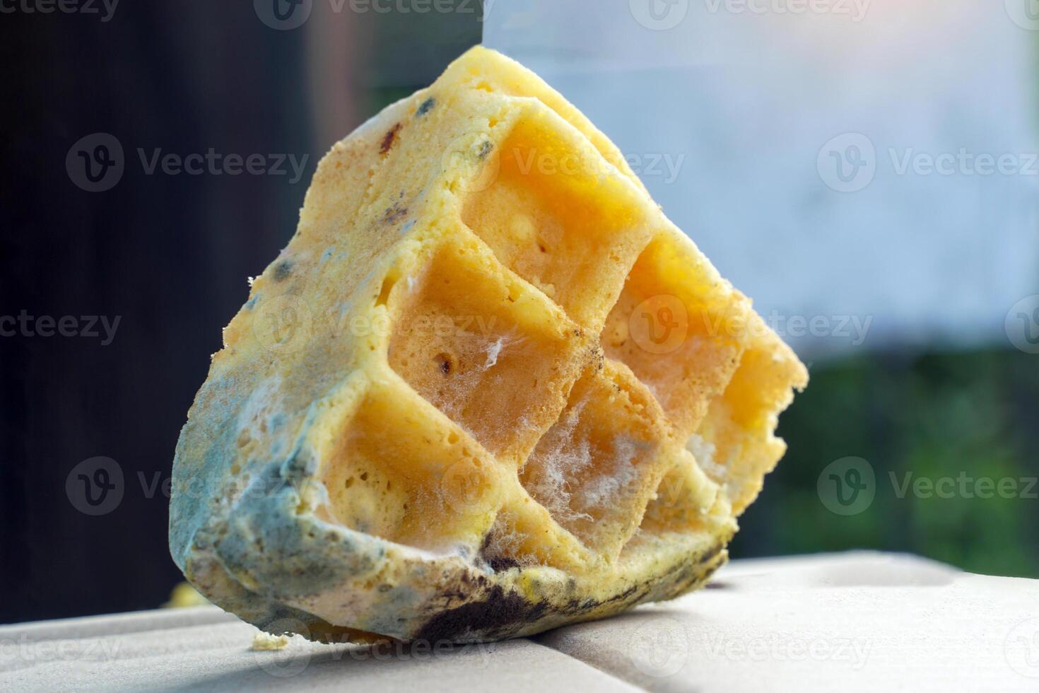 Close-up view of mold growing on waffle scraps. They are microscopic organisms made from airborne mold spores. Then it falls on food that has proper humidity and conditions. photo