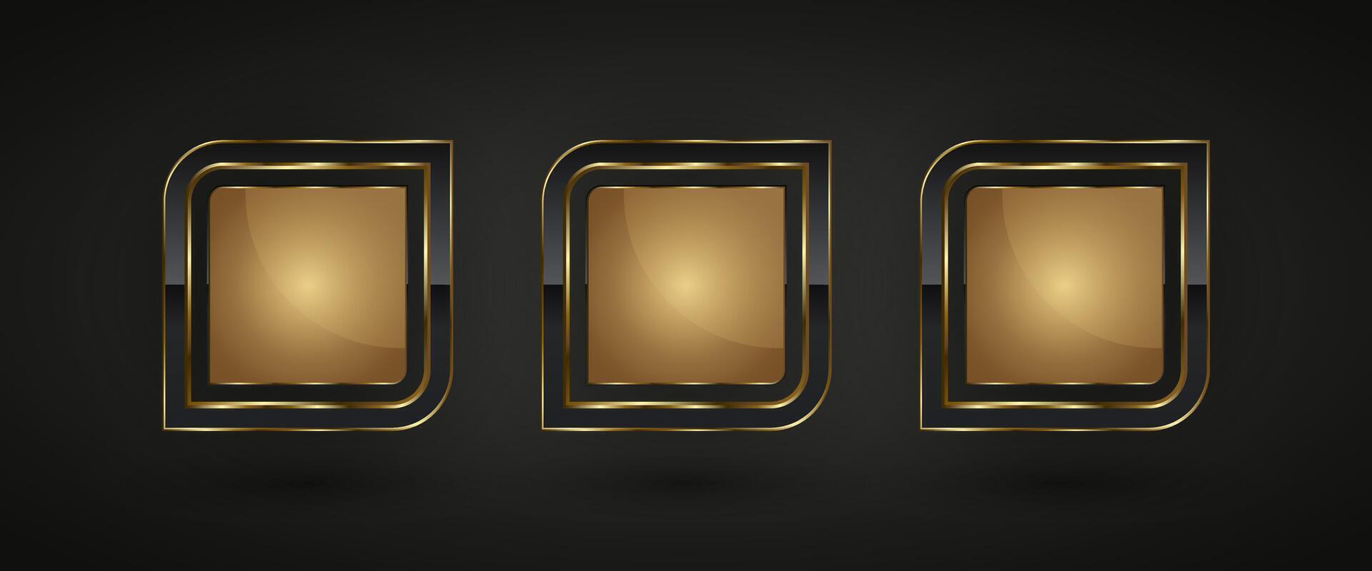 Set of three Luxury special geometrical shape of symbol with gold stoke around it used for high level and premium value concepts, illustration design vector