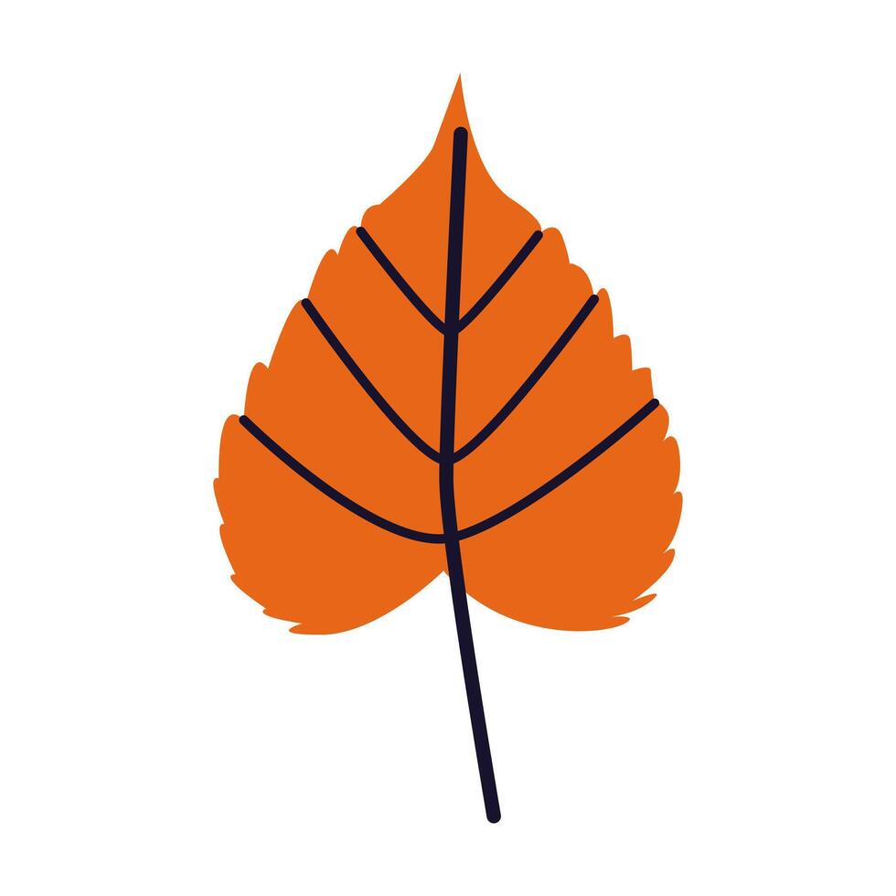 Orange leaf autumn natural leaf botanical illustration. Autumn hand drawn cute and cozy design element. Fall, Thanksgiving Day, Autumn season. vector