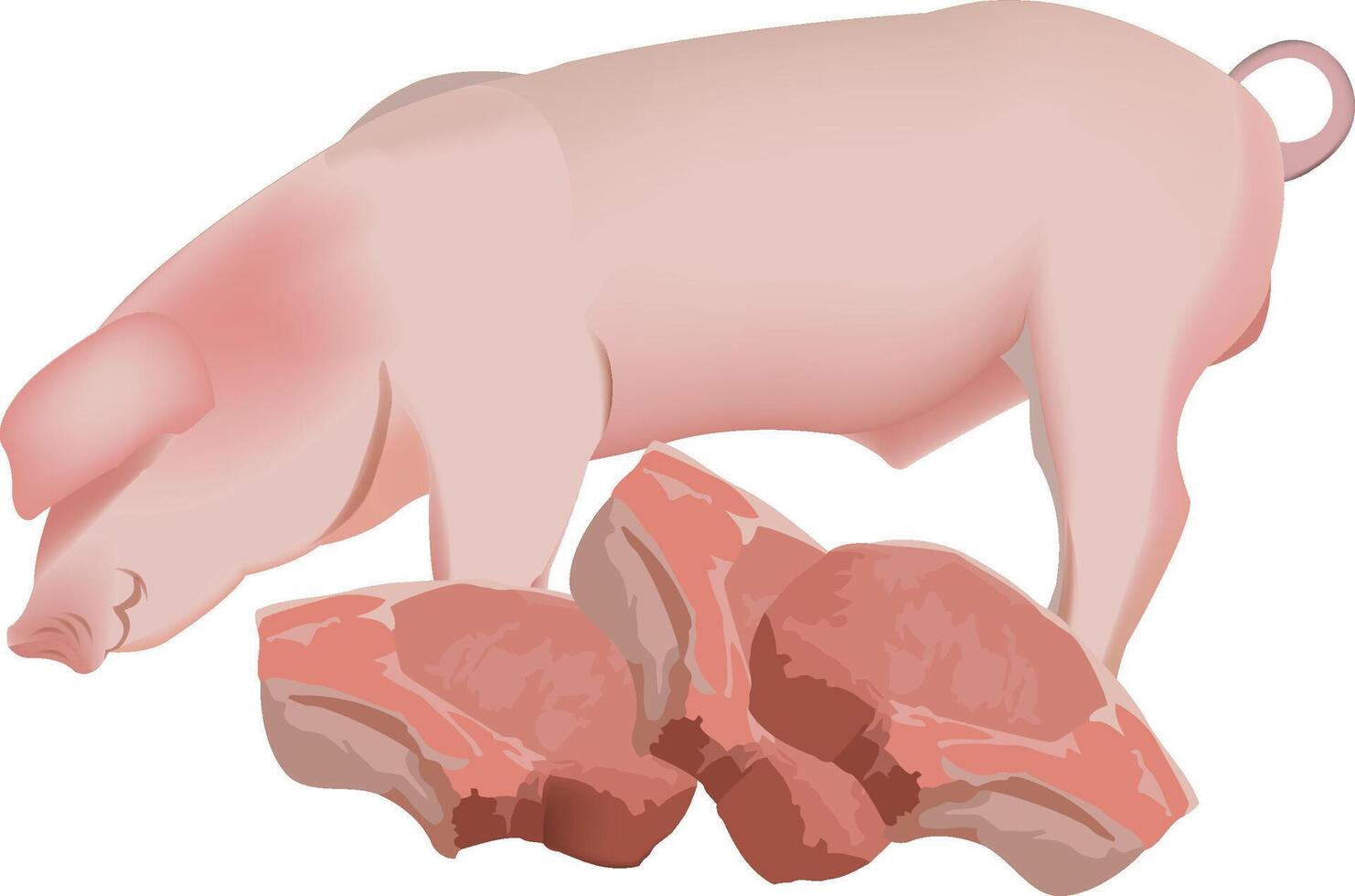 Pig standing over three pork chops illustration vector