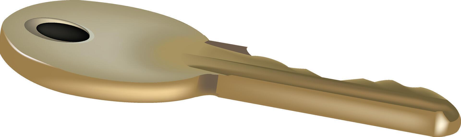 Single brass key is lying flat on a white background vector