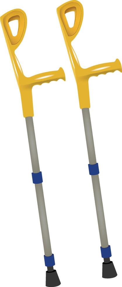 Pair of crutches standing upright on white background vector