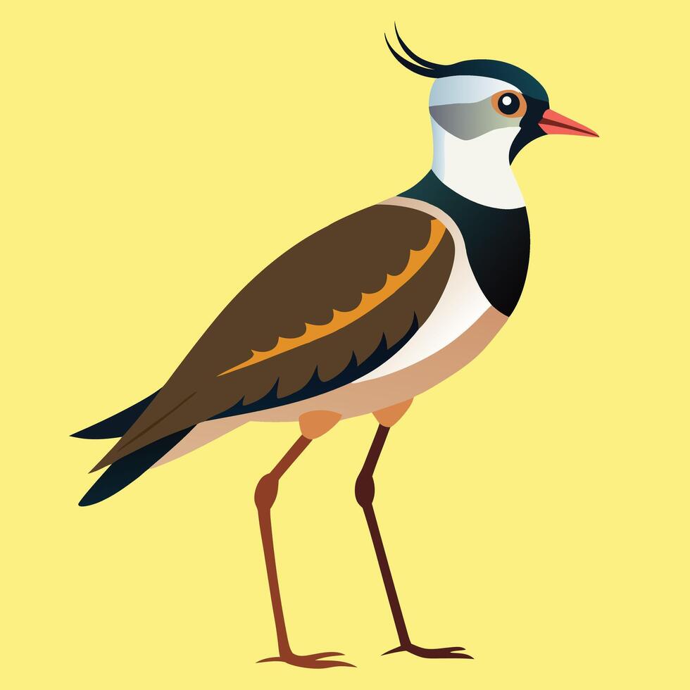 Cartoon lapwing icon on white background vector