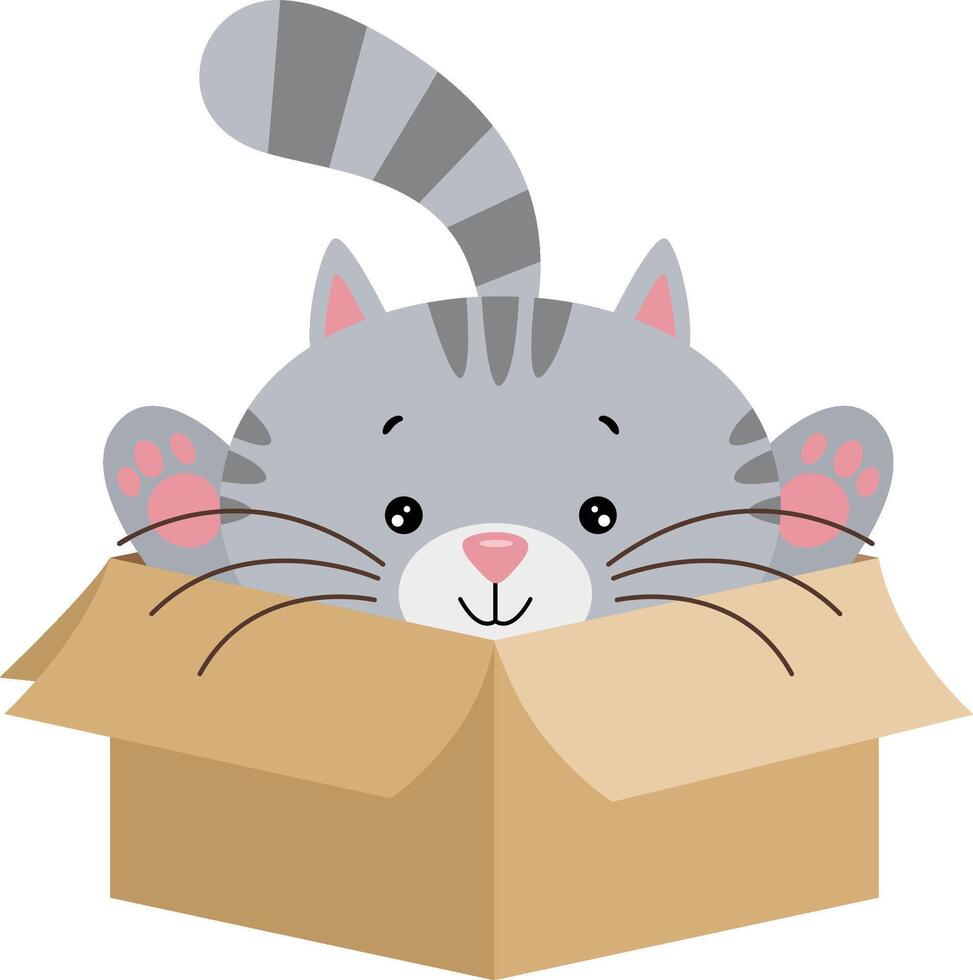Cute cat in cardboard box vector