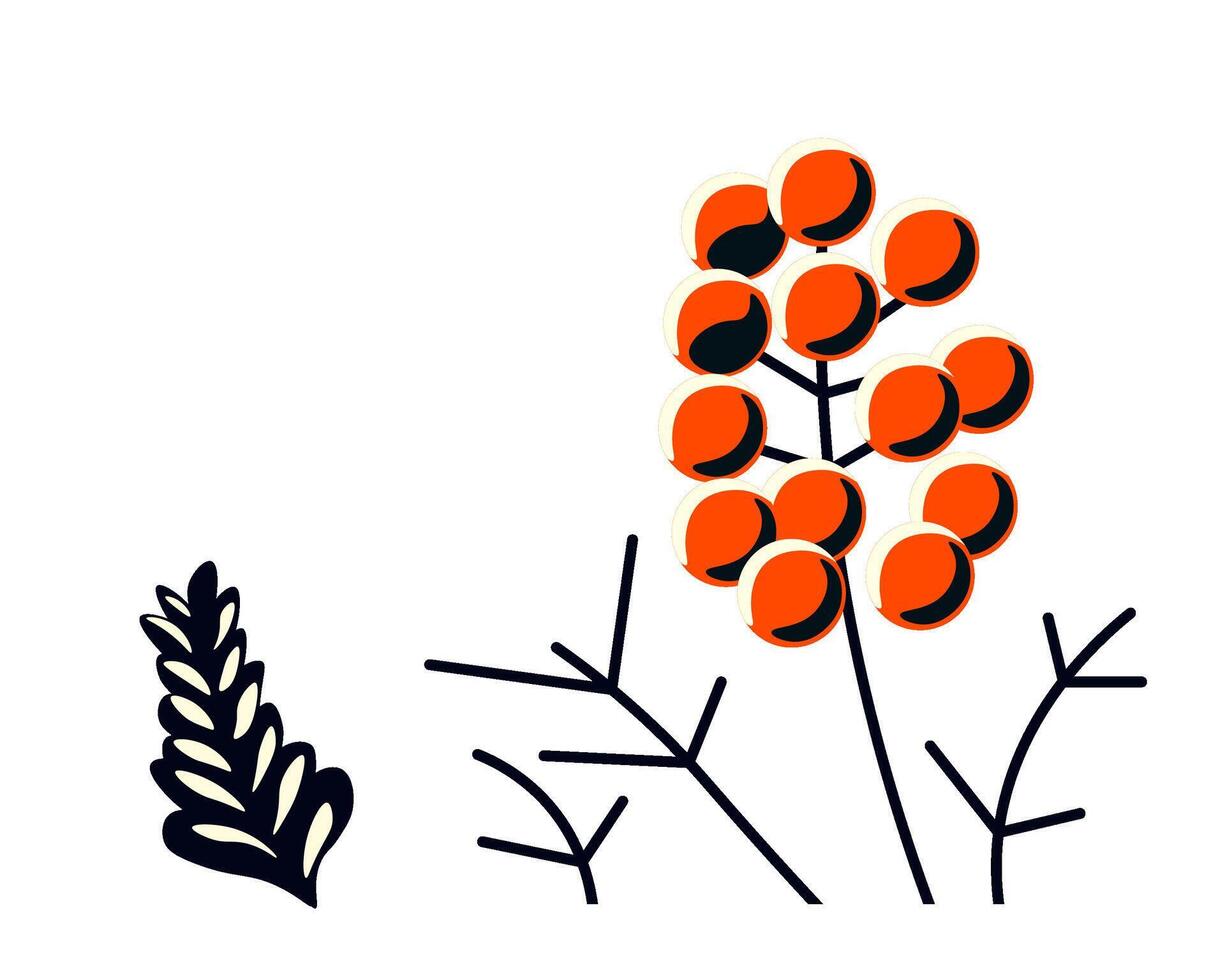 Minimalistic plant with orange berries vector