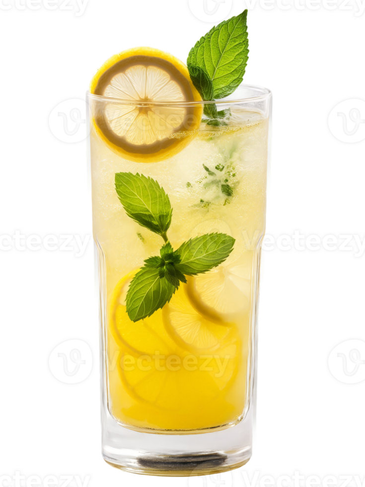 Indian Nimbu Pani in tall glass garnished with slice of lemon and sprig of green png
