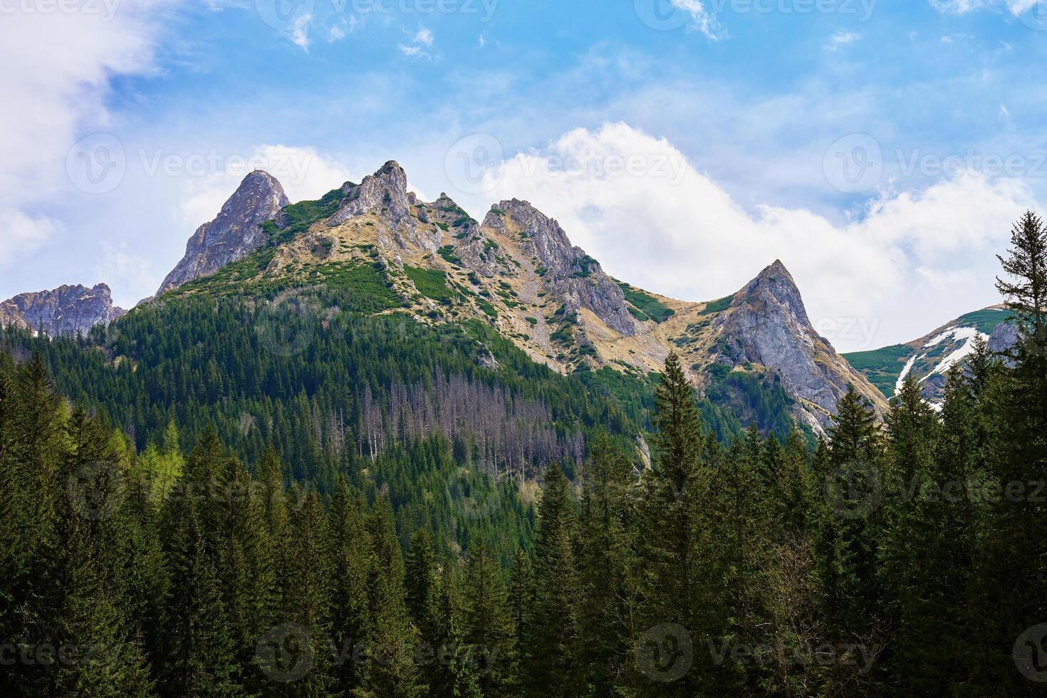 Mountain landscape with green meadow, surrounded by pine forests and snow-capped peaks under clear sky. Tatra mountains in Zakopane, Poland. Giewont summit photo