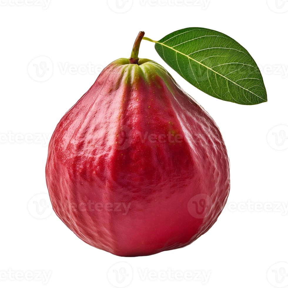 Guava Isolated On A Transparent Background png