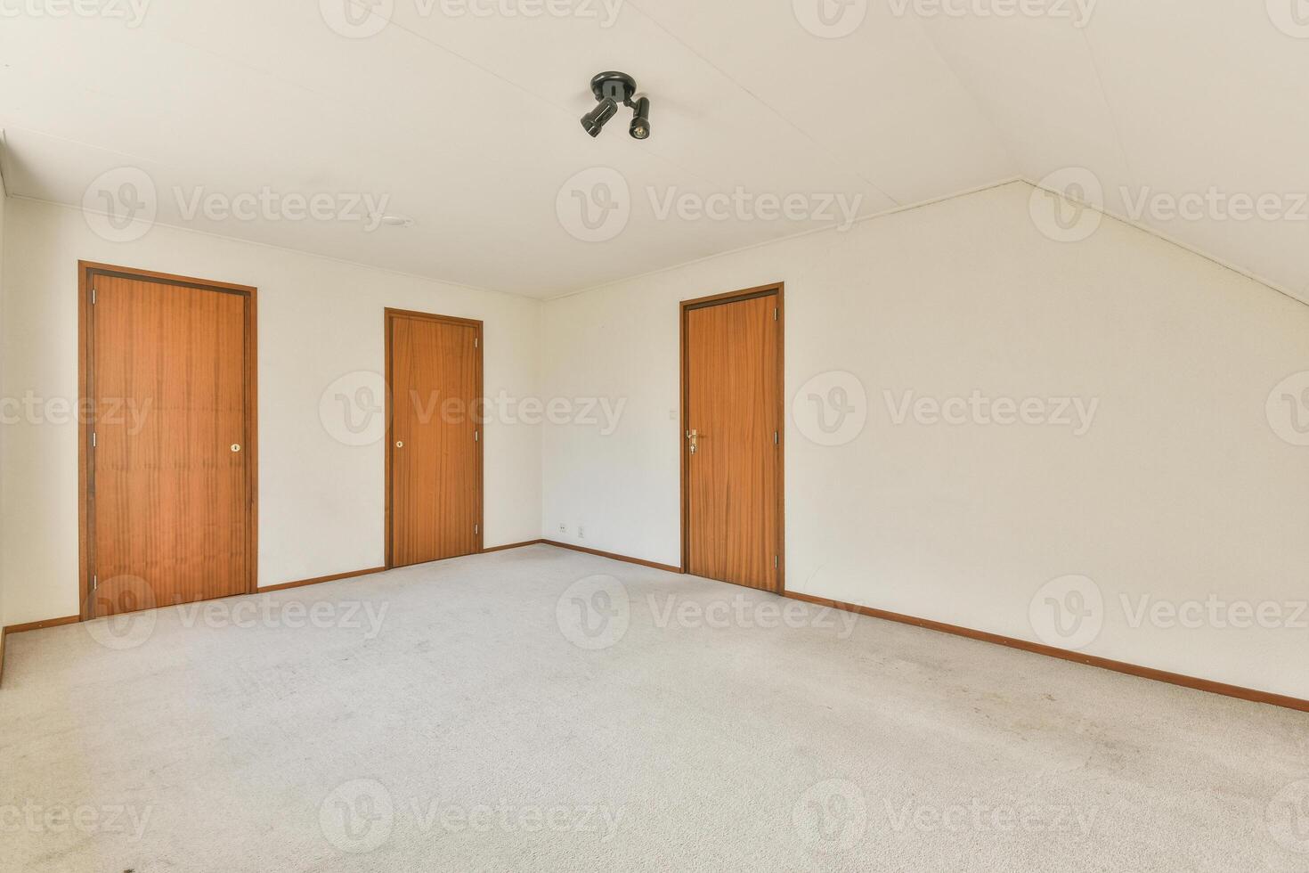 An empty room with two doors and carpet photo