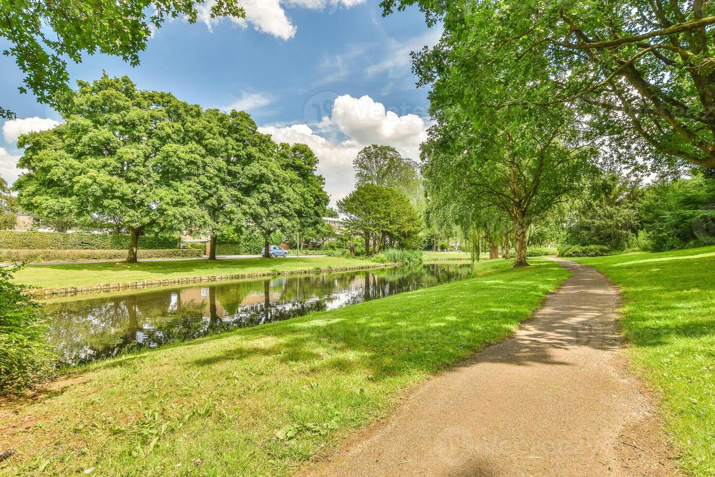A path leading to a river photo