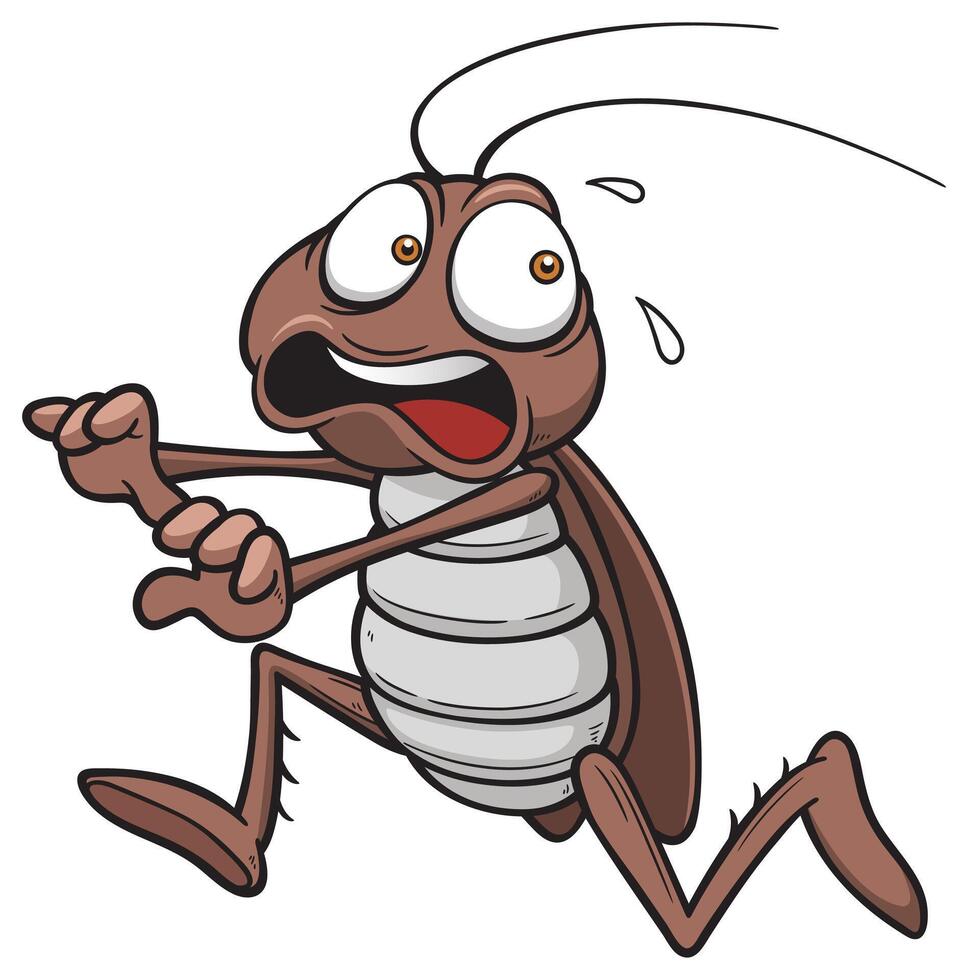 a cartoon drawing of a cockroach run vector