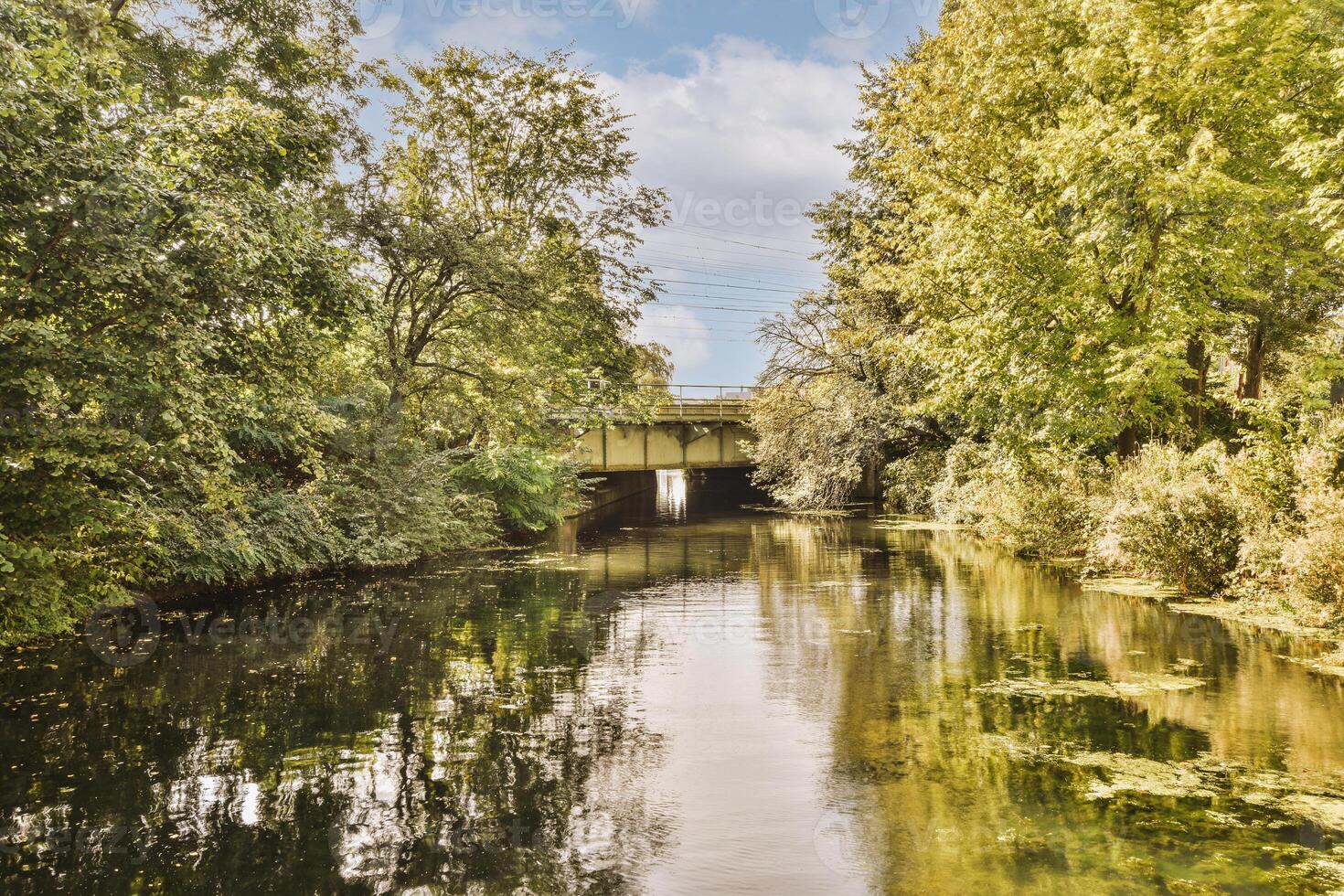A river with trees and water photo