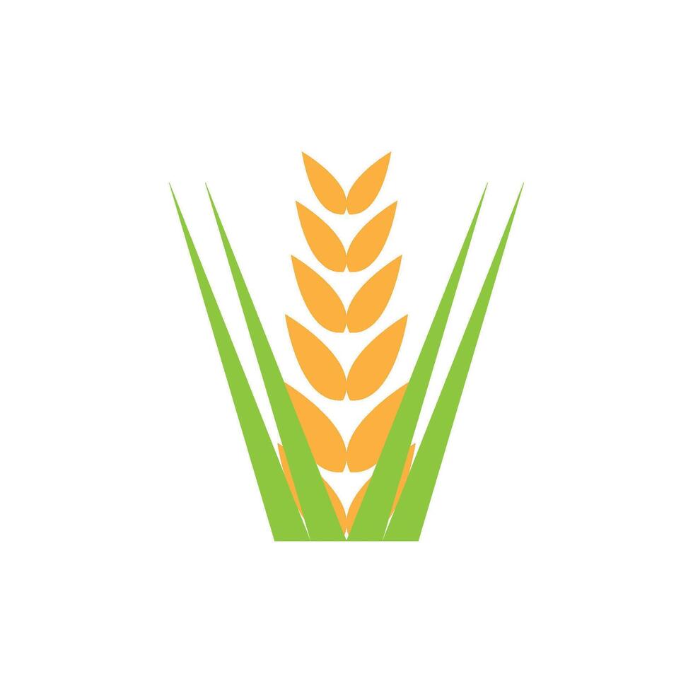 Rice logo design vector