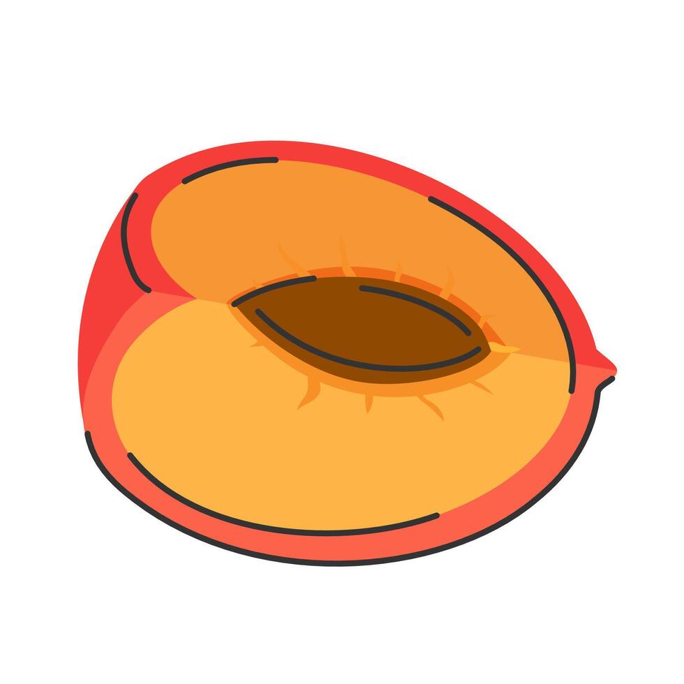 Peach cut in half with pit exposed. Bright and simple, top view, perfect for product designs vector