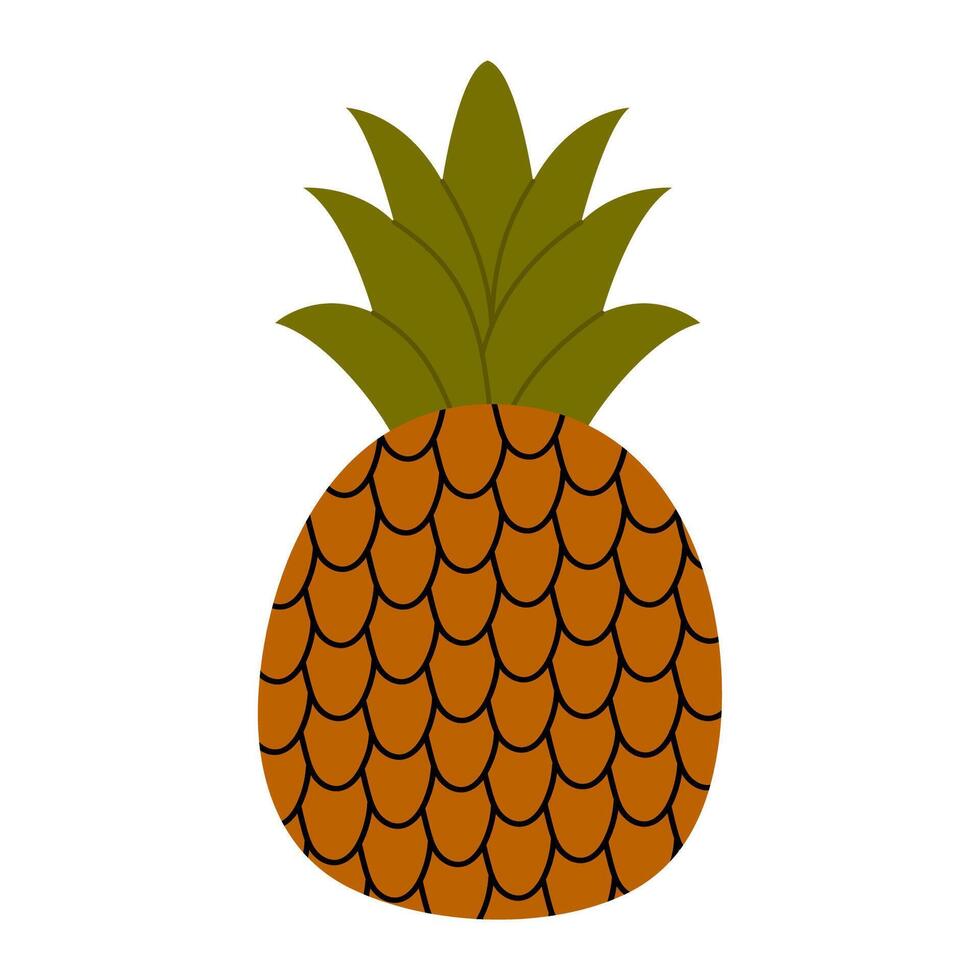 Summer fruit. Hand drawn pineapple. Tropical fruit for summer time. vector