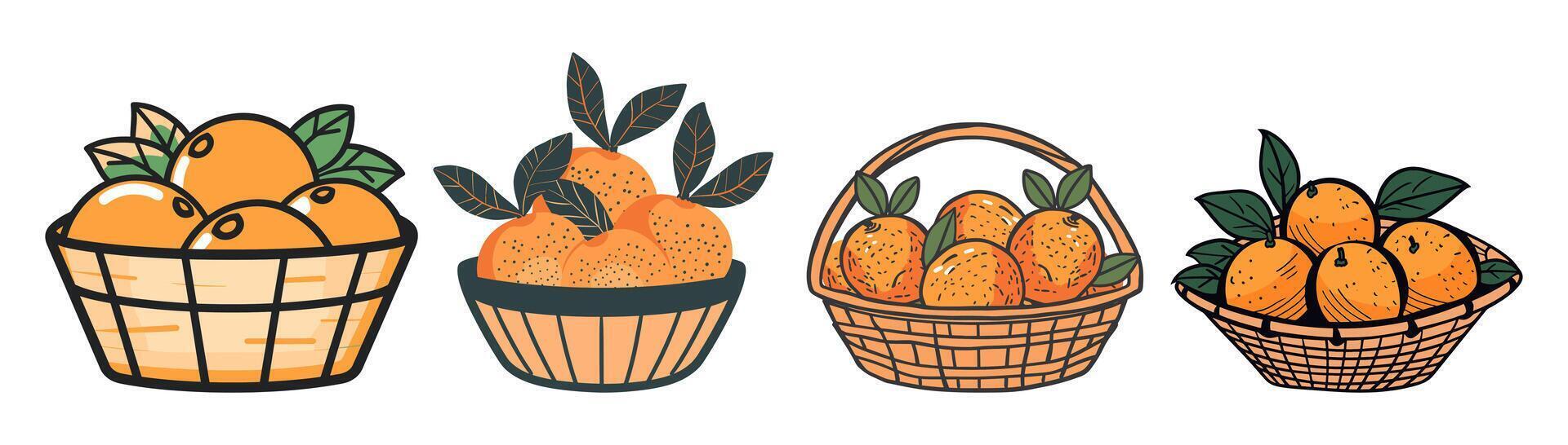 A basket of oranges vector
