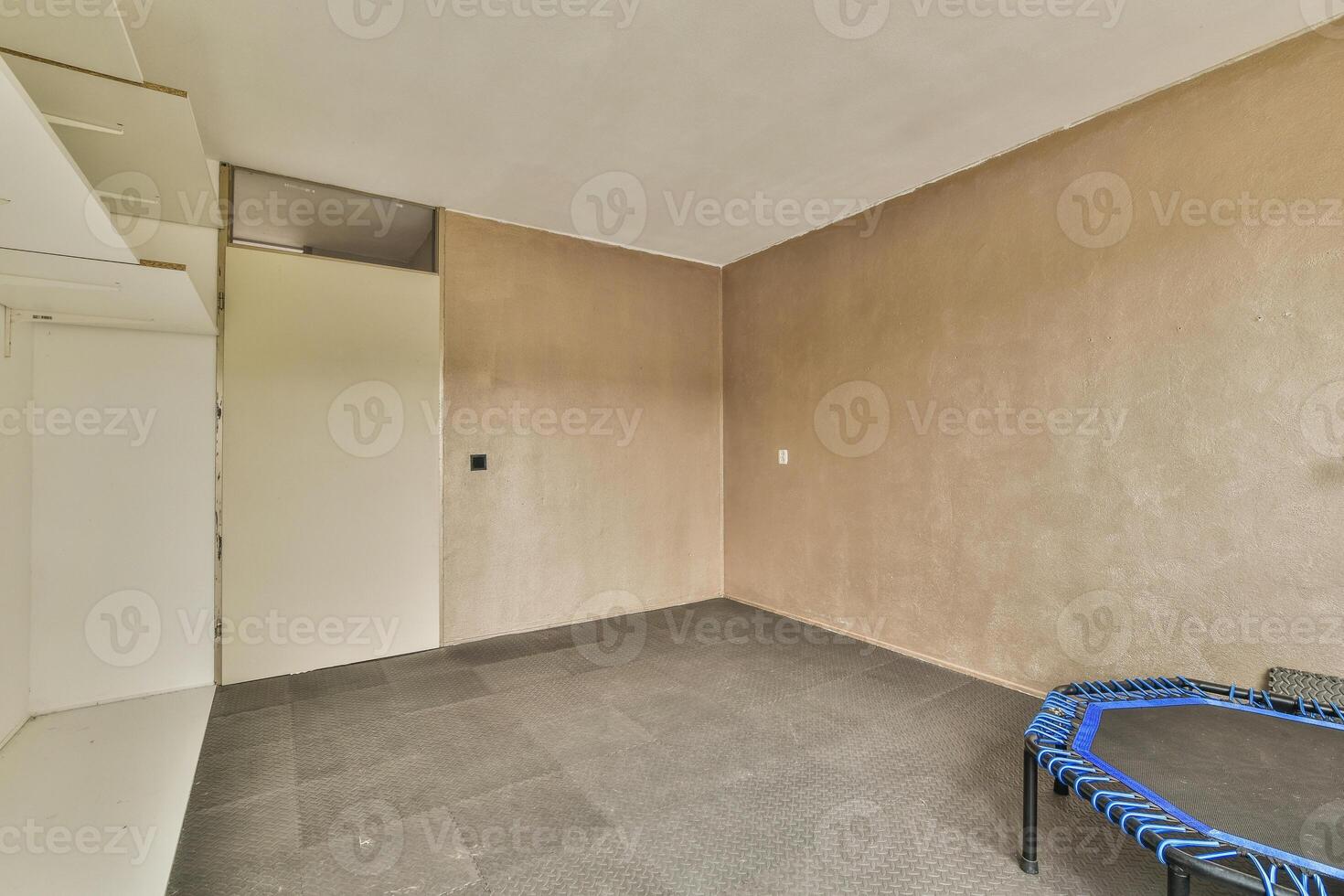 A room with a trampoline and a wall photo