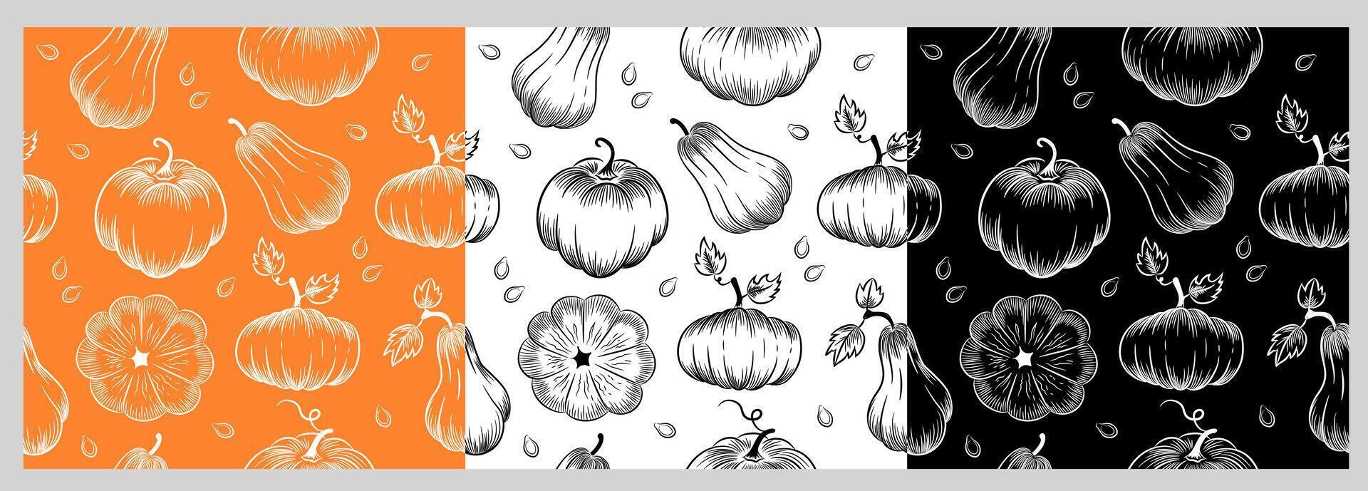 Pumpkin outline seamless pattern. Pumpkins of various shapes. Hand-drawn sketch. Background in white, black, orange color. Set for printing on paper, packaging, fabrics and other surfaces. vector