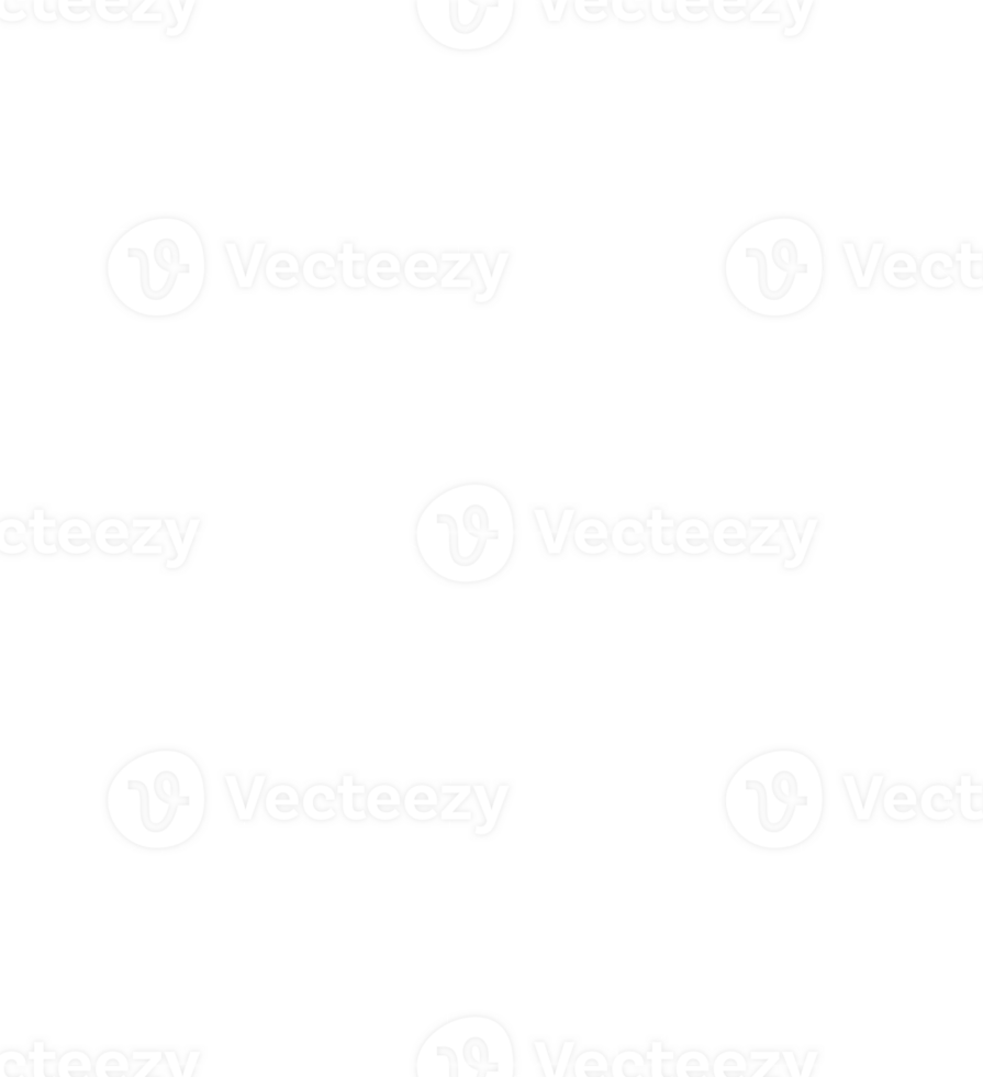 a white snowflake png