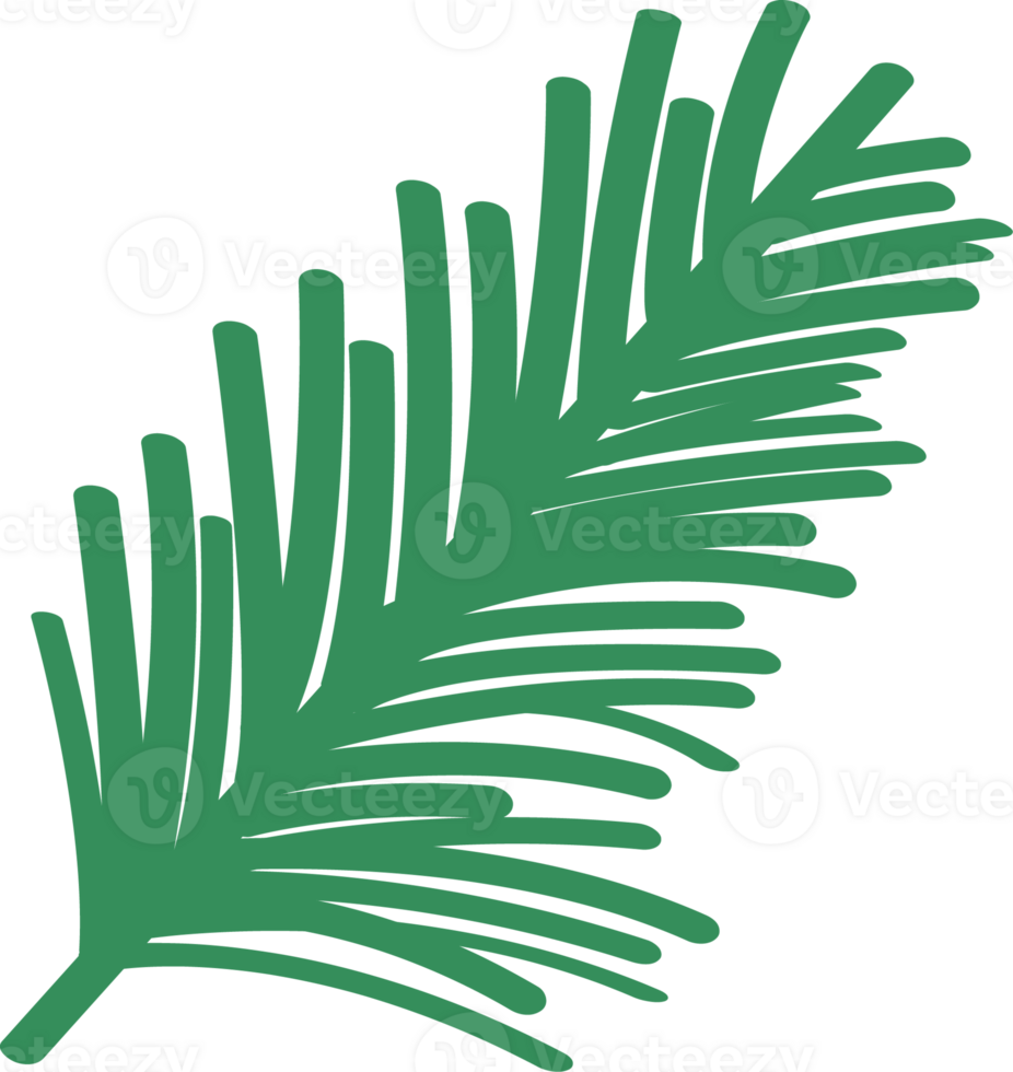 Ornament of Xmas png