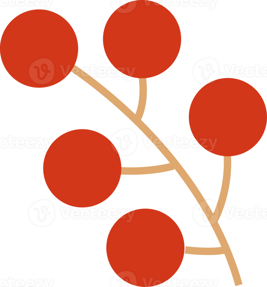 Plant of Merry Xmas png