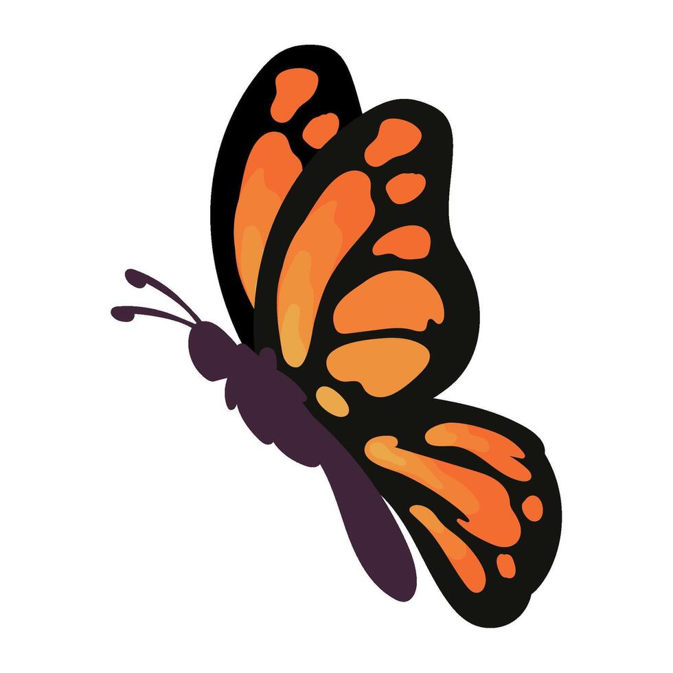 Butterfly illustration isolated vector