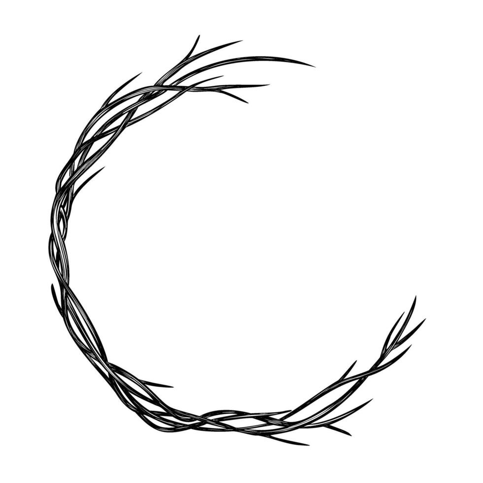 Botanical Wreath with twigs and branches illustration. Black outline Frame with twisted plants for autumn Invitations and greeting cards. Etching of circular border for fall postcards design. vector