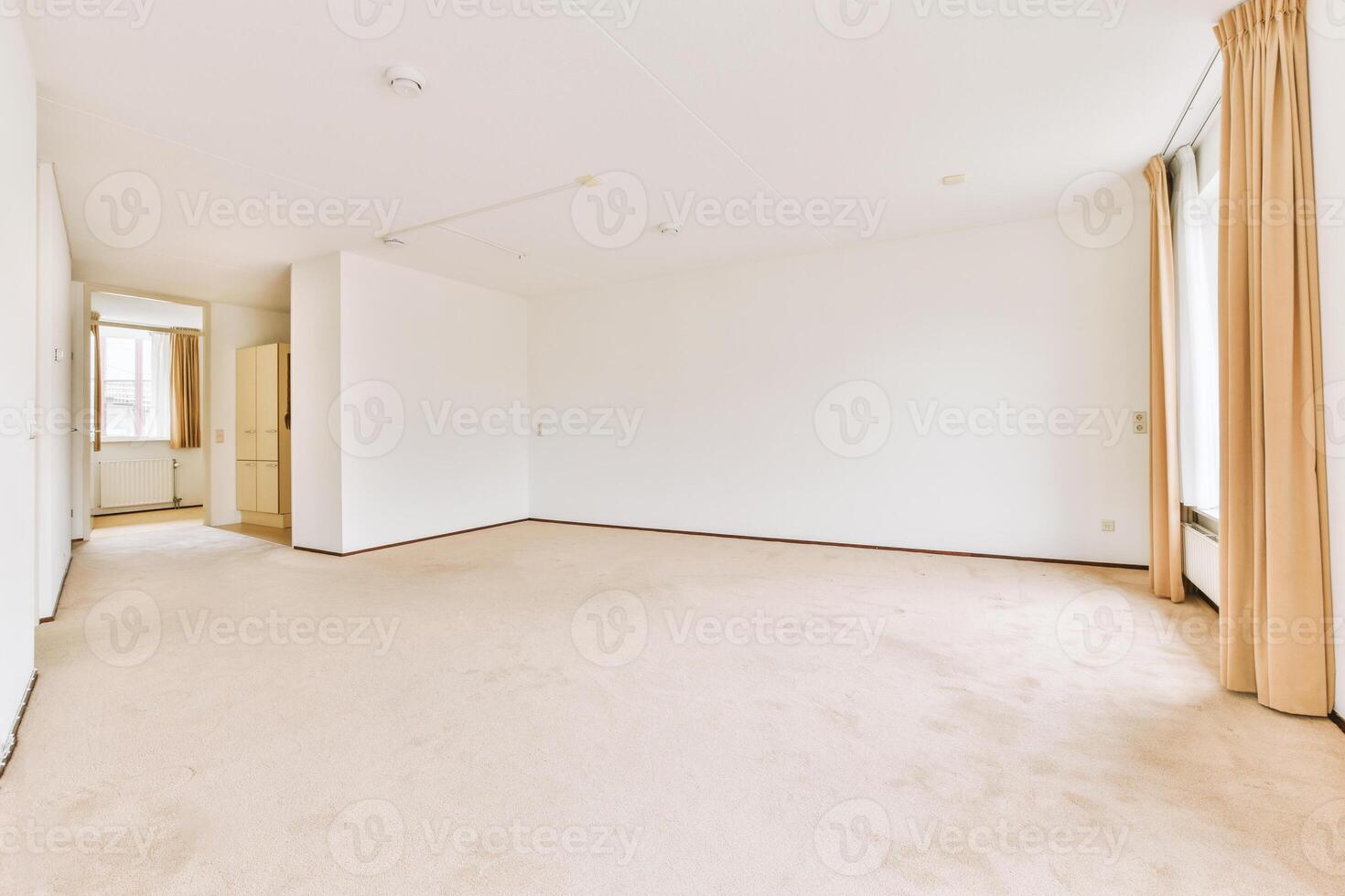 A large empty room with beige carpeting and white walls photo