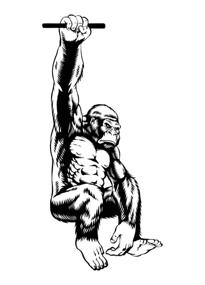 Gorilla Hanging Black and White Illustration vector