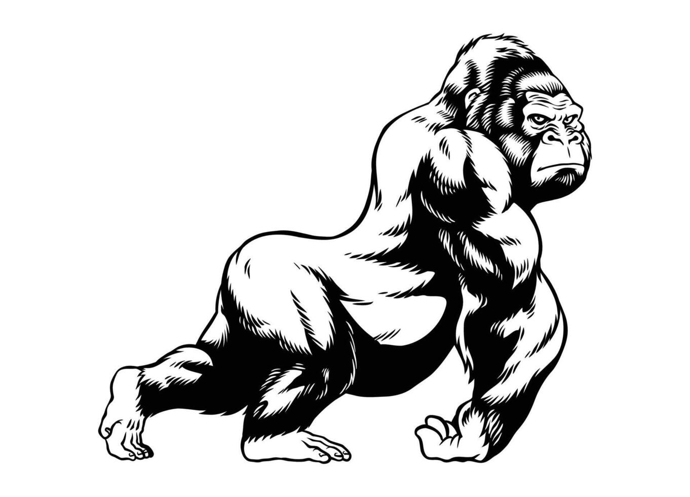 Black and White Hand Drawn Illustration of Big Gorilla vector