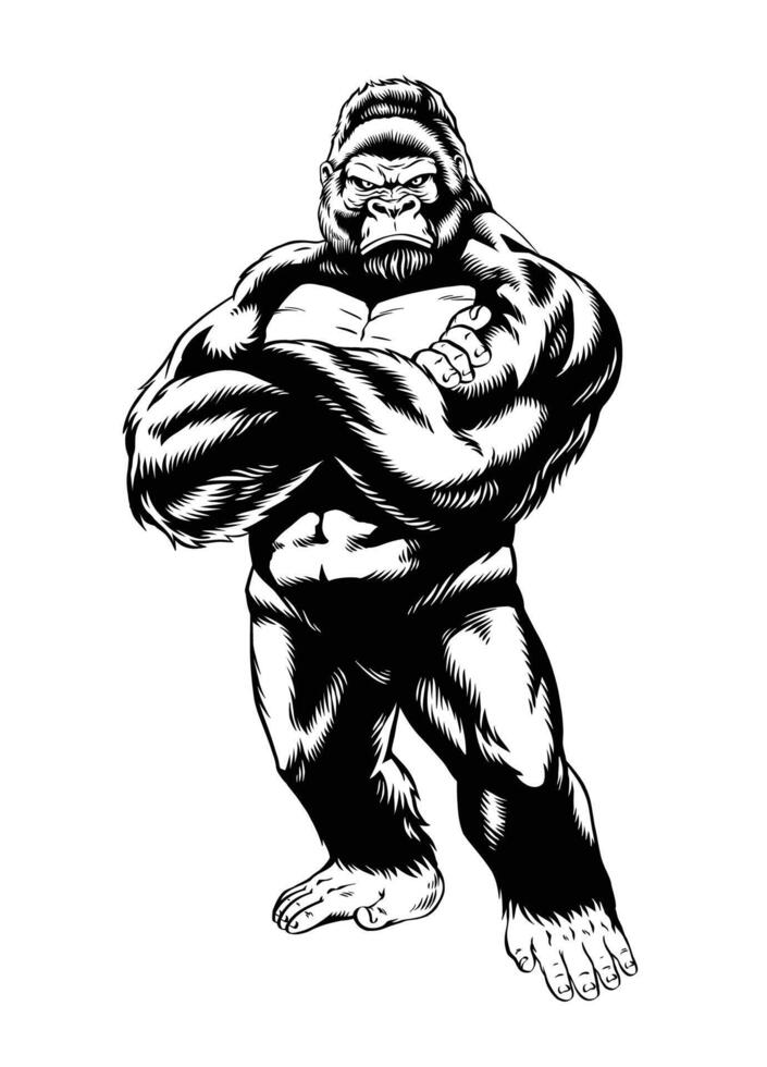Black and White Serious Big Gorilla Illustration vector