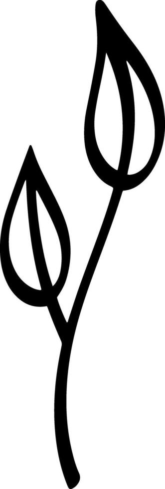 Doodle leaves on branch icon Sketch clipart vector