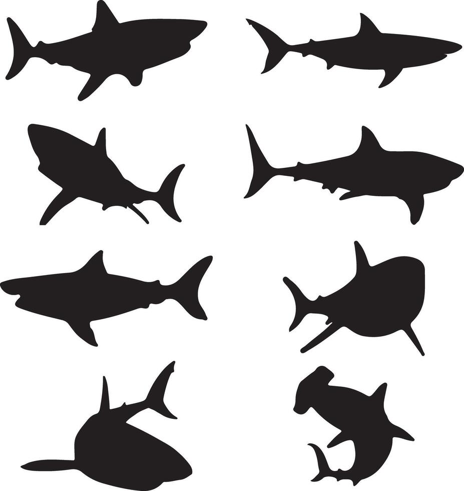 shark silhouette isolated on white background vector