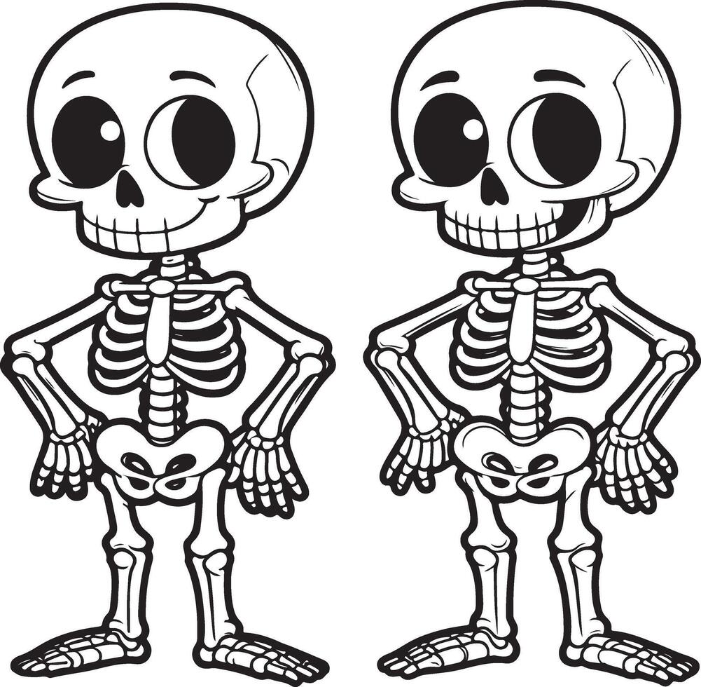 Two cartoon skeletons standing in front of each other vector
