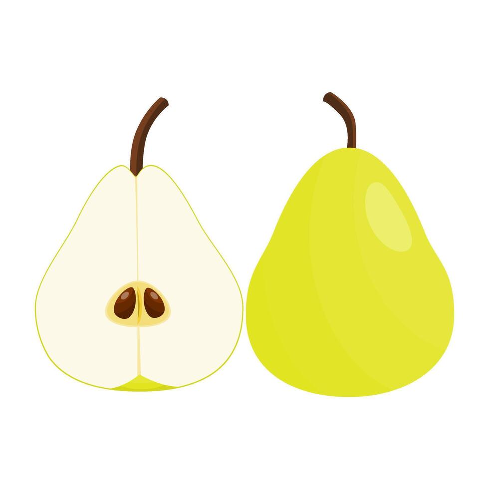 Pear Is A Fruit That Has A Sweet, Slightly Sour, Crunchy And Juicy Taste. This Fruit Grows In Tropical And Subtropical Regions vector