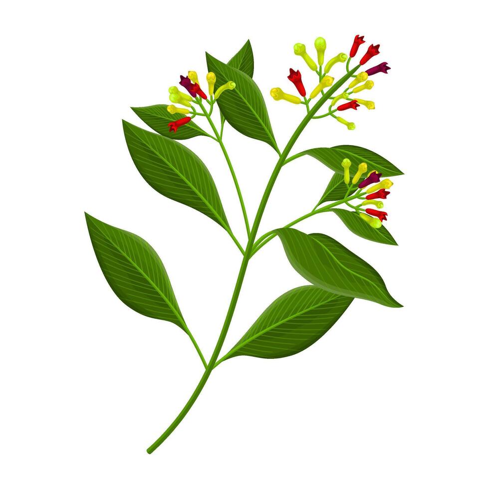 Fresh Whole Cloves in Design vector