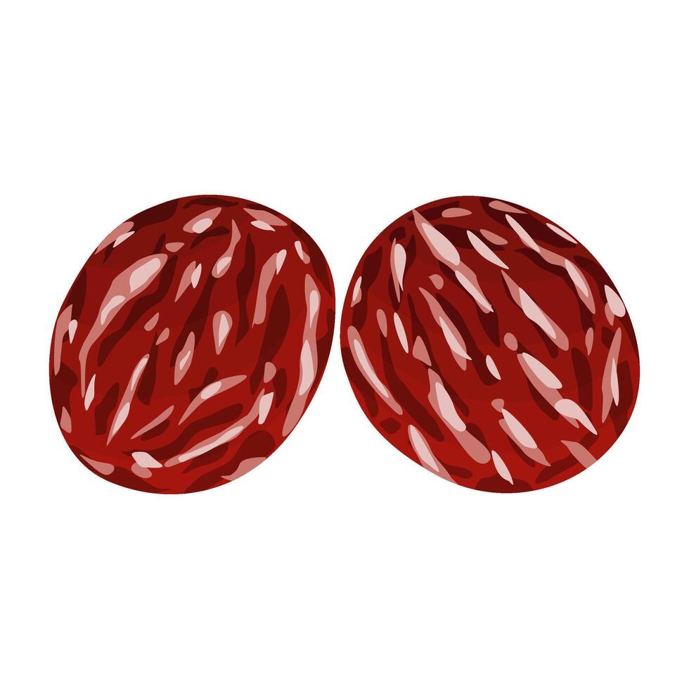Jujube Fruit Or Chinese Dates Is A Fruit That Has A Sweet, Crunchy And Juicy Taste. This Fruit Grows In Sub-tropical Regions, Especially China vector