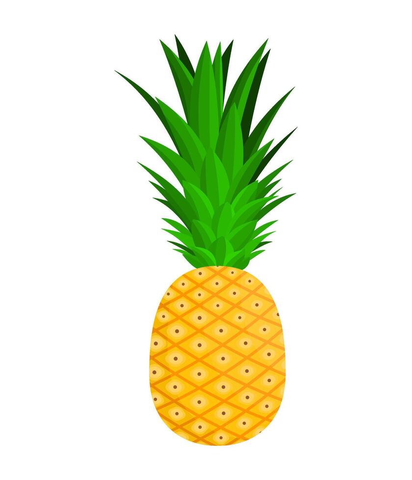 Pineapple Is A Fruit That Has A Sweet, Sour And Juicy Taste. This Fruit Grows A Lot In Tropical Climates vector