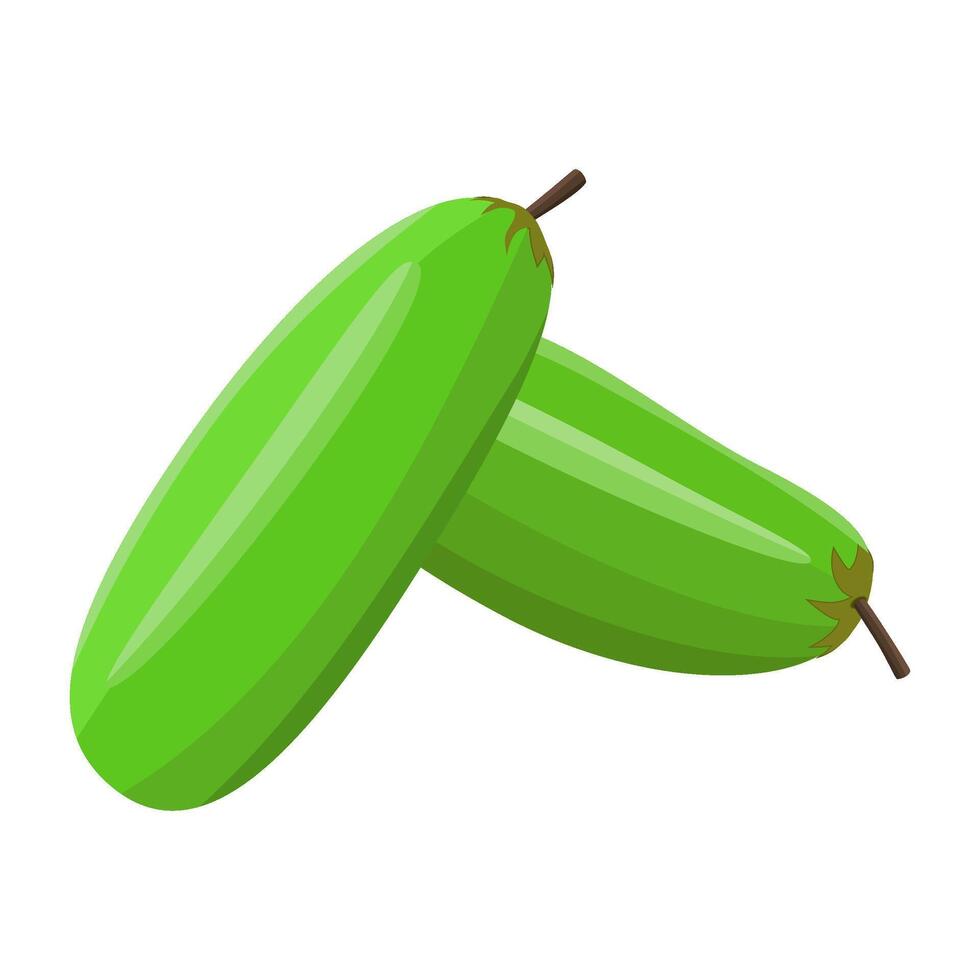 Fresh Whole Bilimbi Wuluh Fruits in Design vector