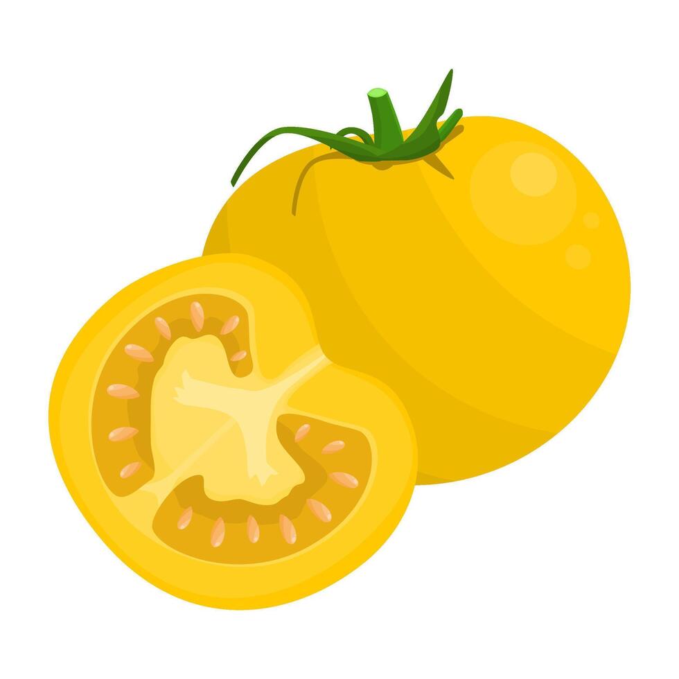 Yellow Tomato Is A Fruit That Has A Distinctive Sweet, Sour, Juicy Taste. This Fruit Grows In Many Climates vector