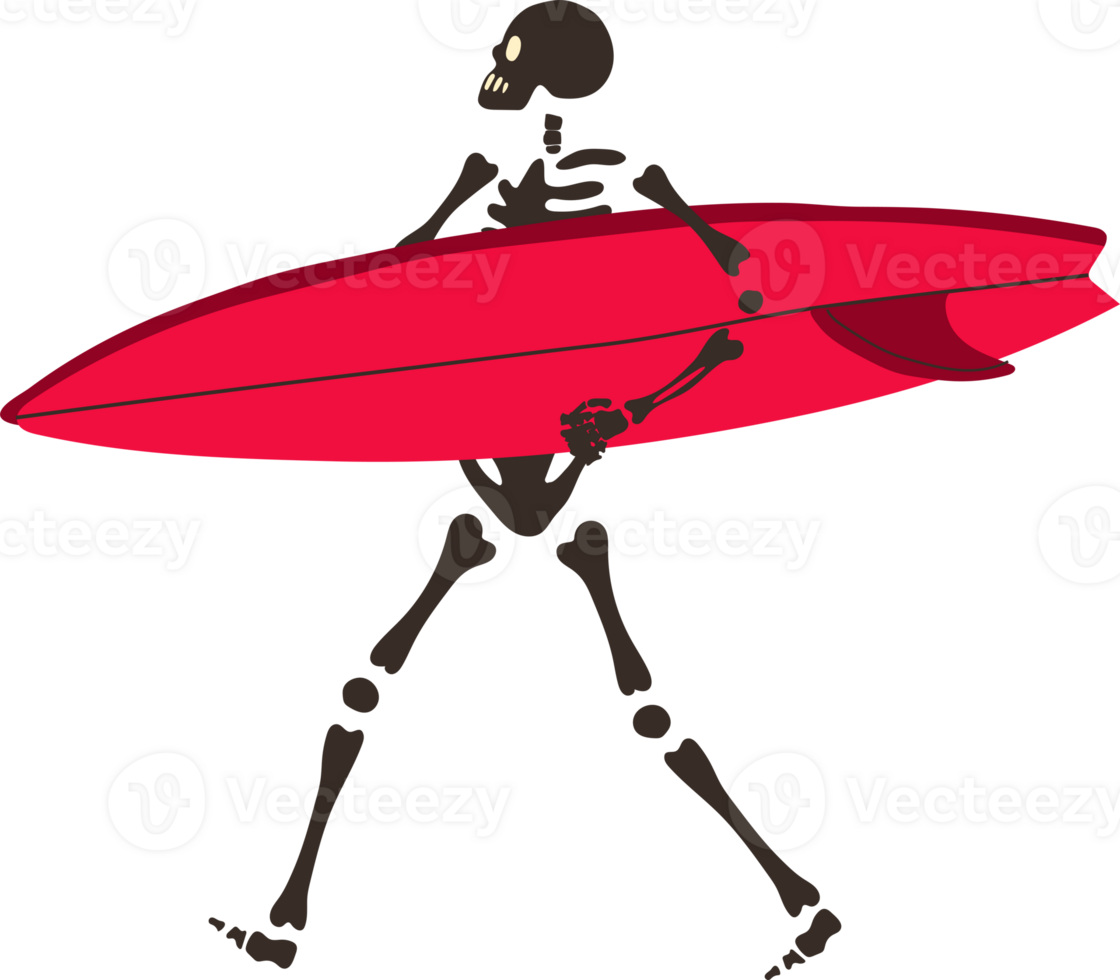 Funny Skeleton with surfboard. Cute character Skeleton Bones png