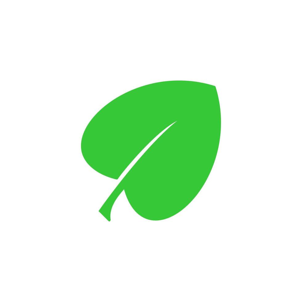 Leaf icon. Green leaf icon. vector