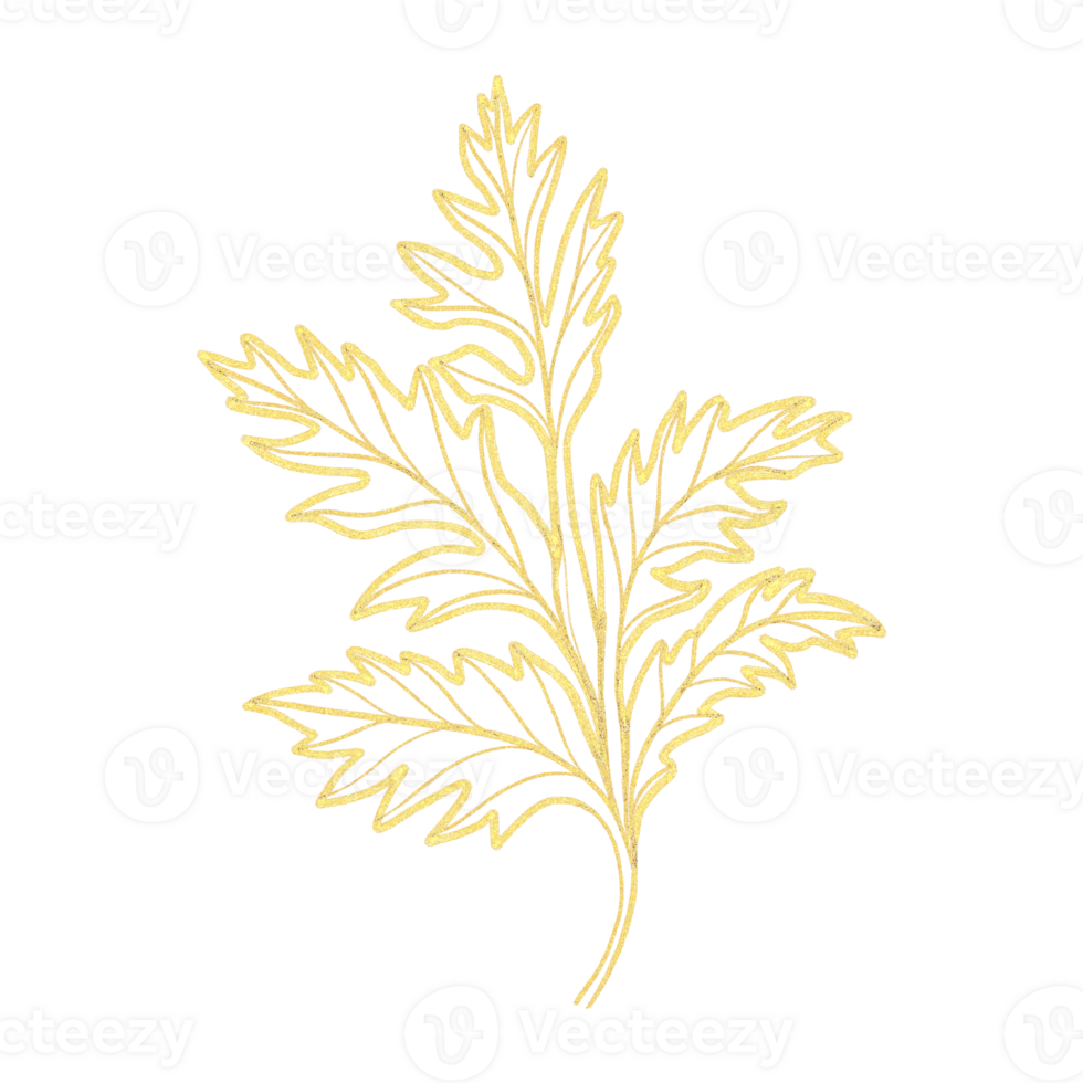 Golden Fronds Delicate Leaf Line Art png