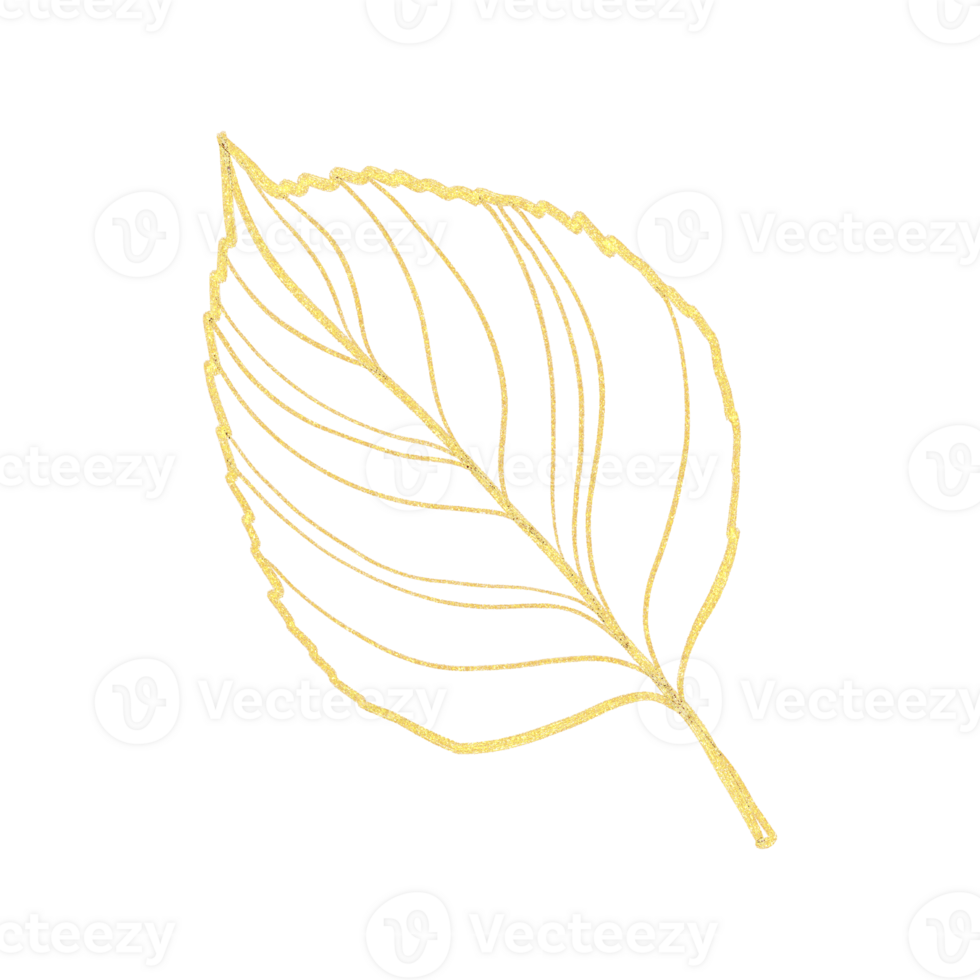 Golden line art illustration with leaf png