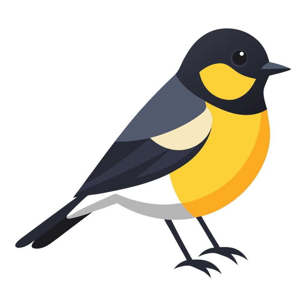 Illustration of Tomtit bird isolated on white vector